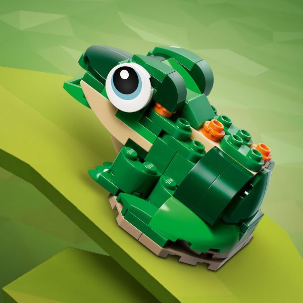 Adorable frog can open its mouth.