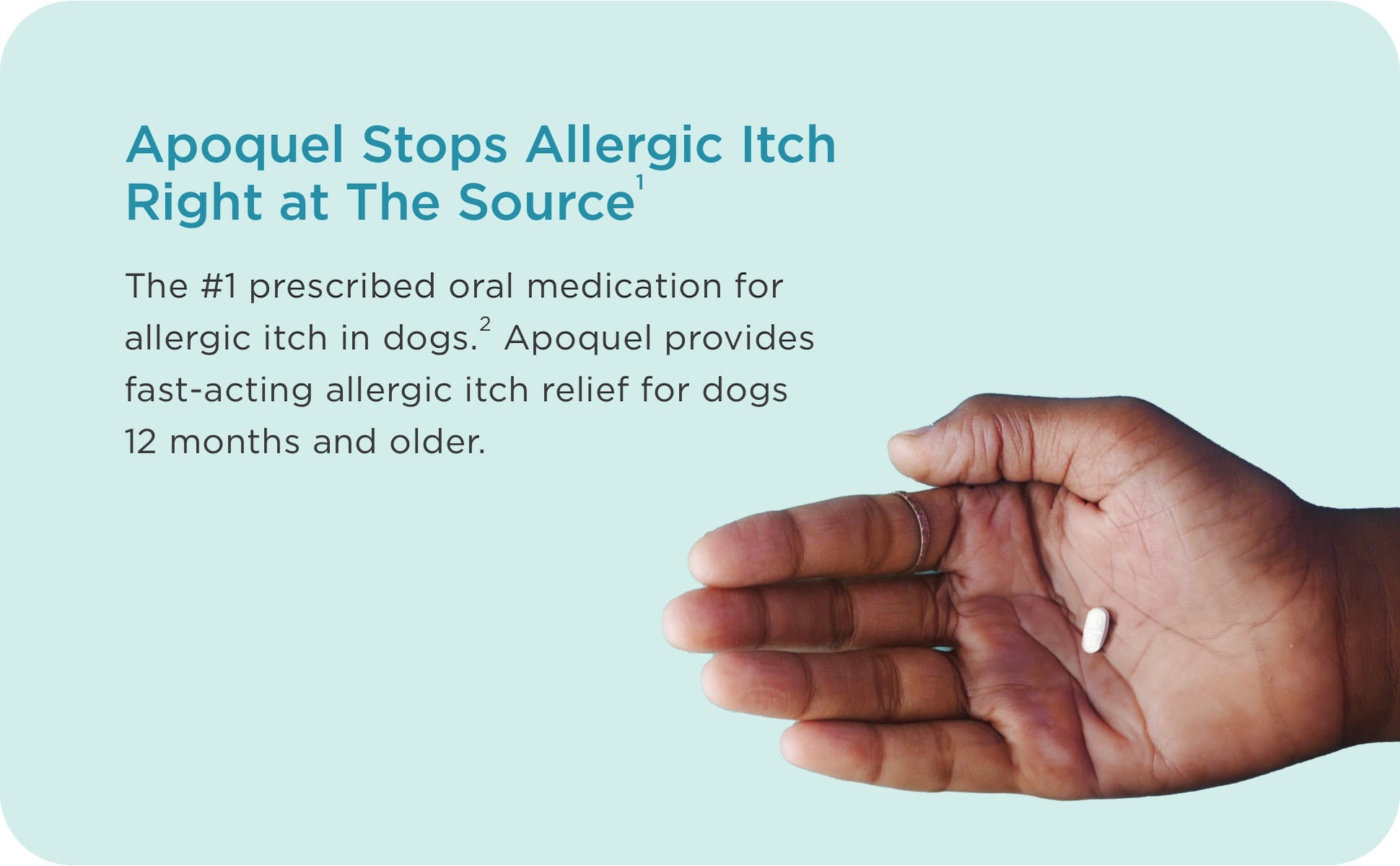 Atopic Dermatitis Stopping Apoquel Side Effects Apoquel Chewable - Main Image