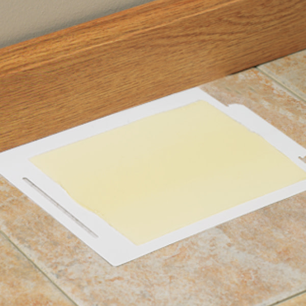 Tomcat Glue Boards with Eugenol for Enhanced Stickiness Placed on Floor