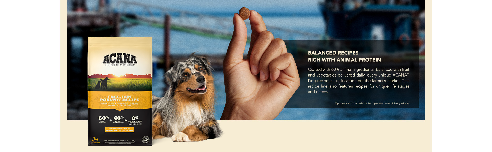 ultra natural balance dog food Natural Balance Original Carrot, Beef & Potato Wet Dog Food