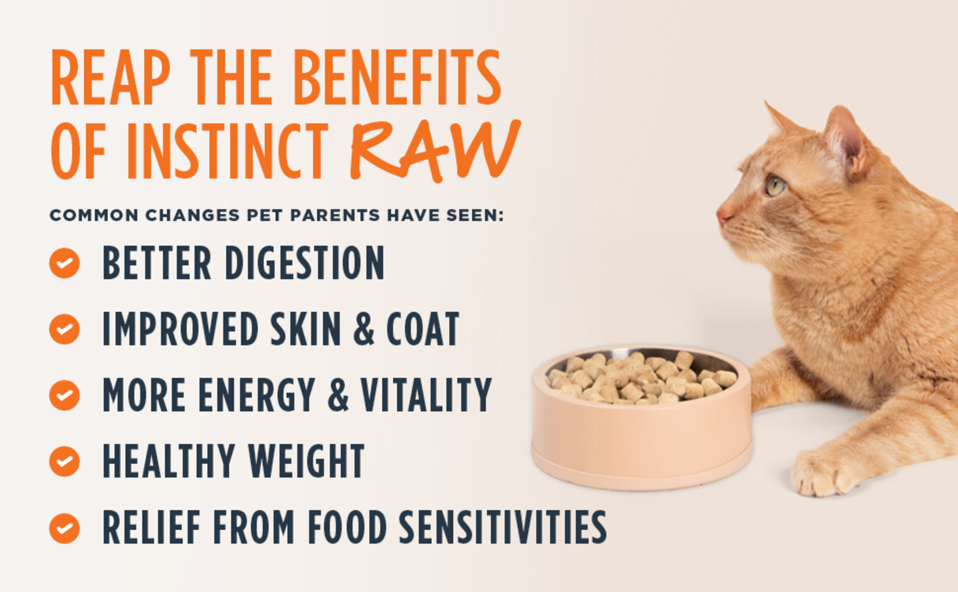 Instinct raw kitten food best sale