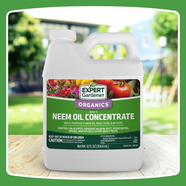 Expert Gardener Neem Oil Insect and Disease Control 12 oz