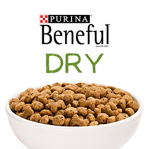 Purina Beneful Dry Dog Food Originals Real Salmon With Sweet