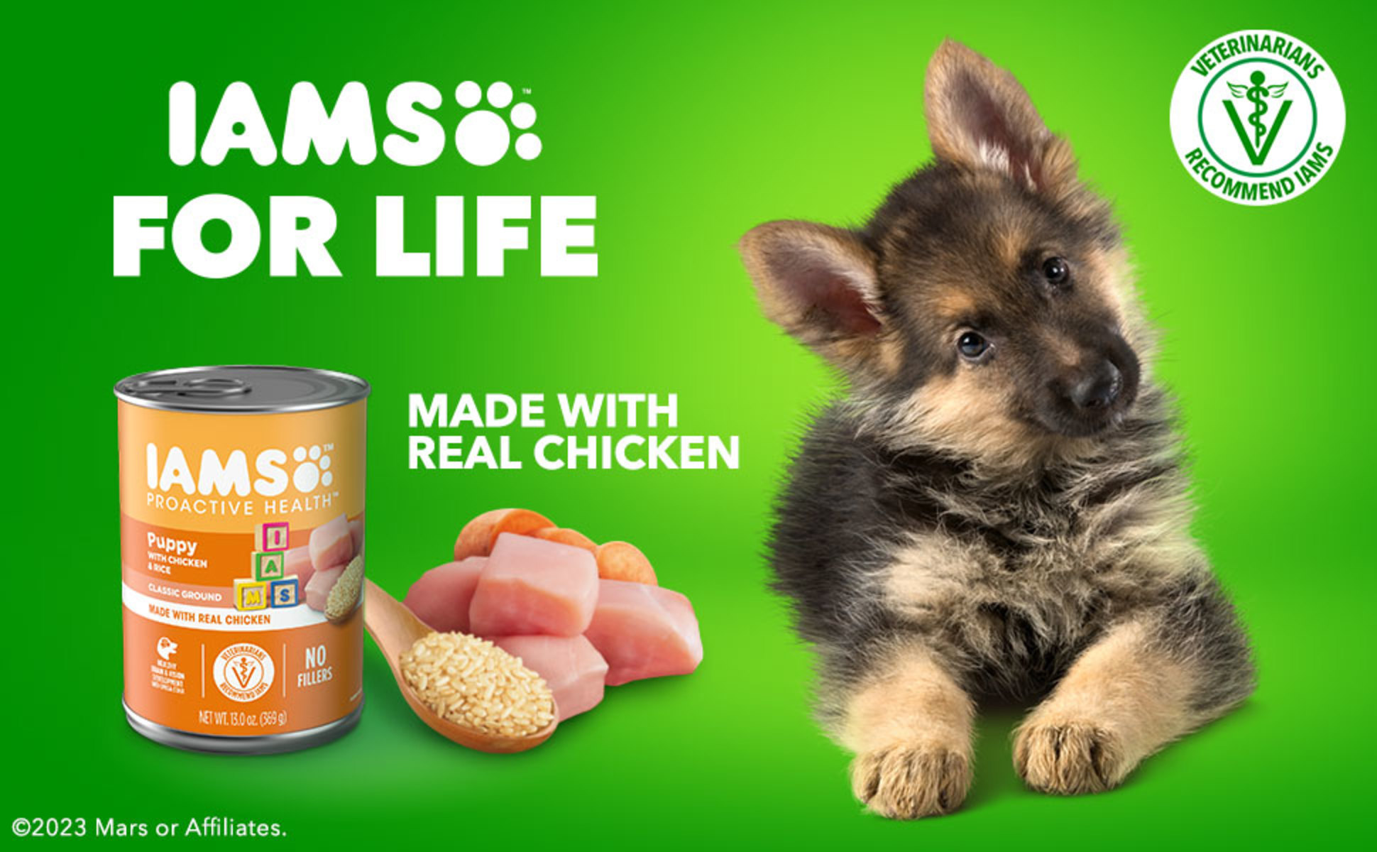 Walmart iams canned dog hot sale food