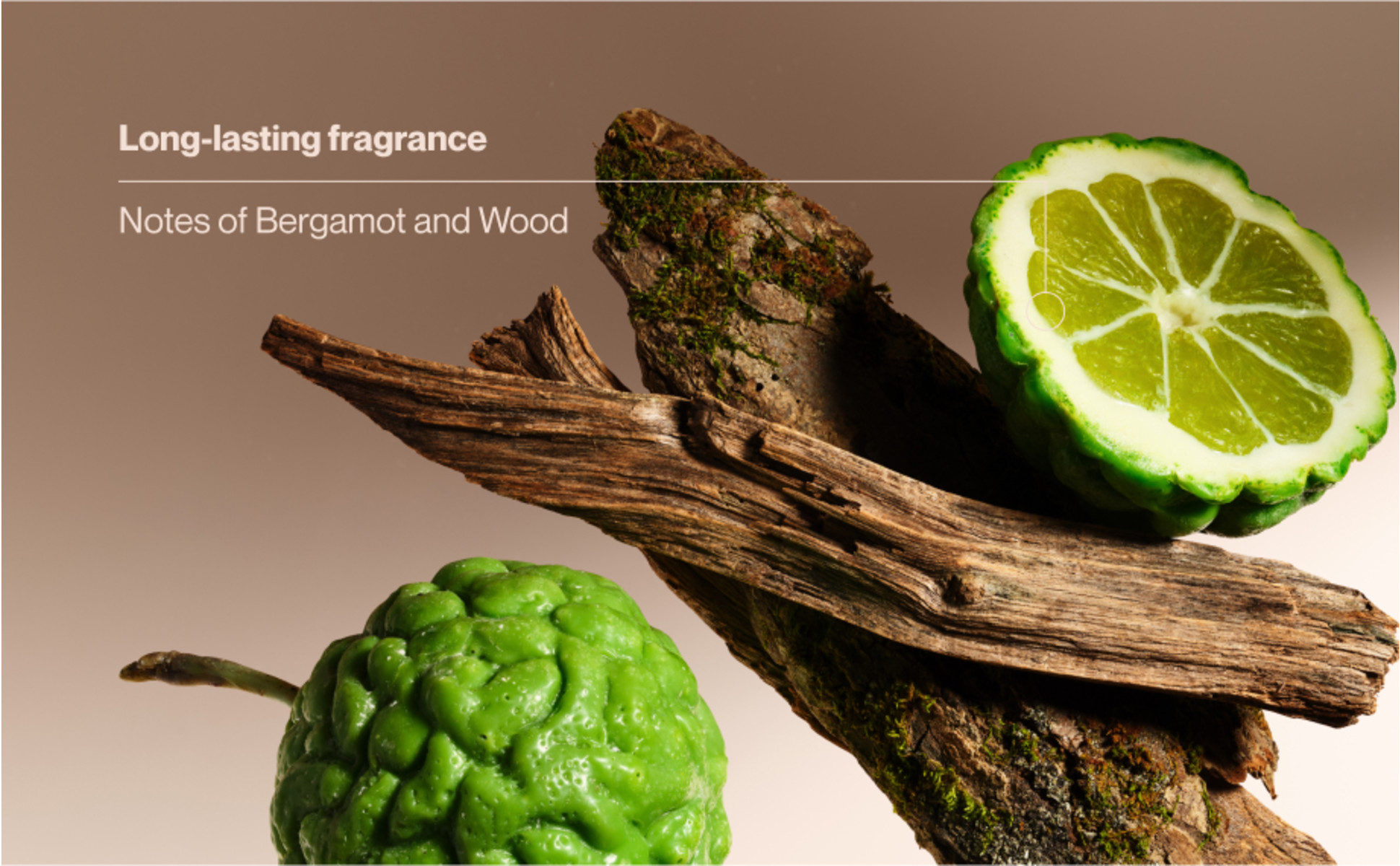 Bergamot slices & wood highlight fresh, long-lasting scent in Suave men’s antiperspirant deodorant.