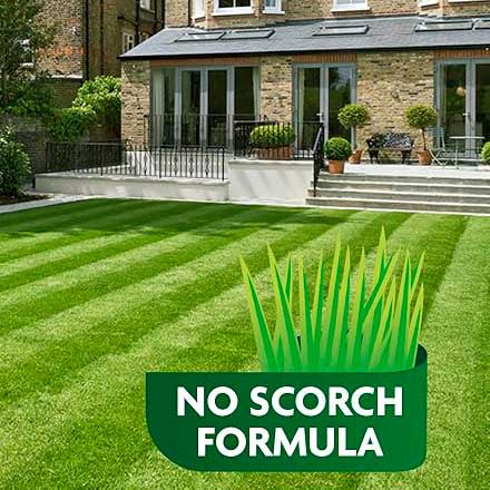No scorch formula for lawns