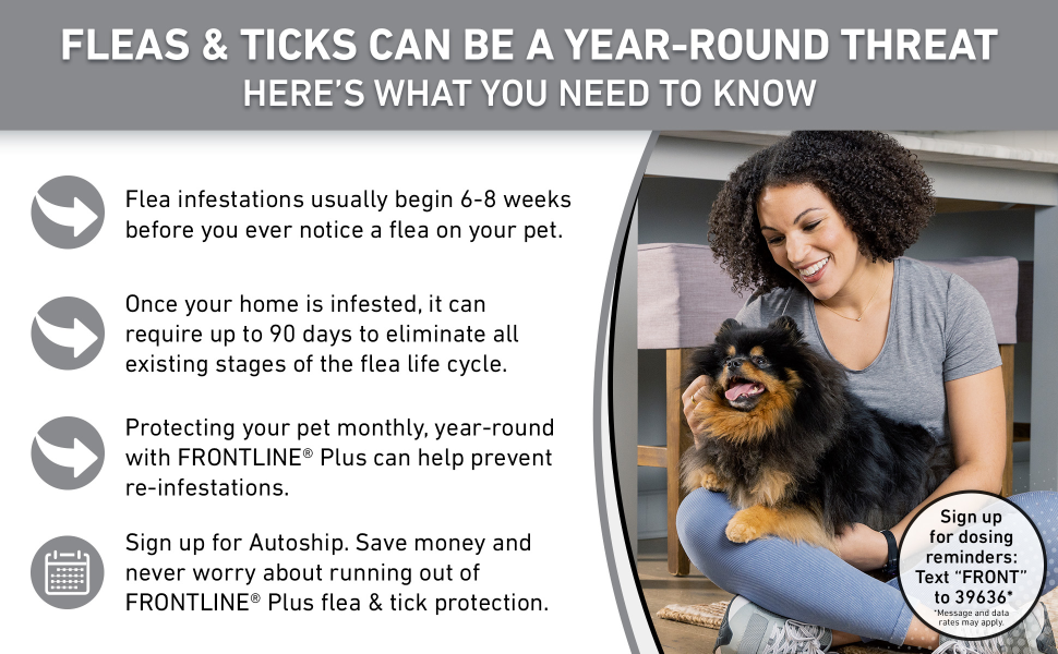 frontline flea walmart