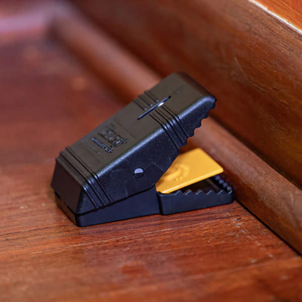 Effective Mouse Trap