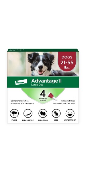 Advantage dog shampoo best sale