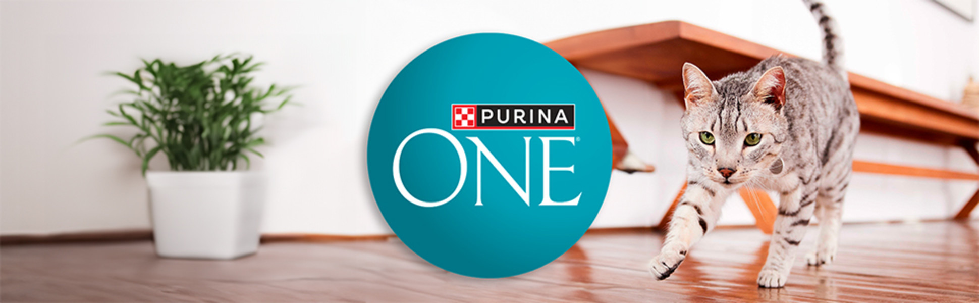 PURINA ONE LOGO WITH A PLAYFUL CAT IN THE BACKGROUND