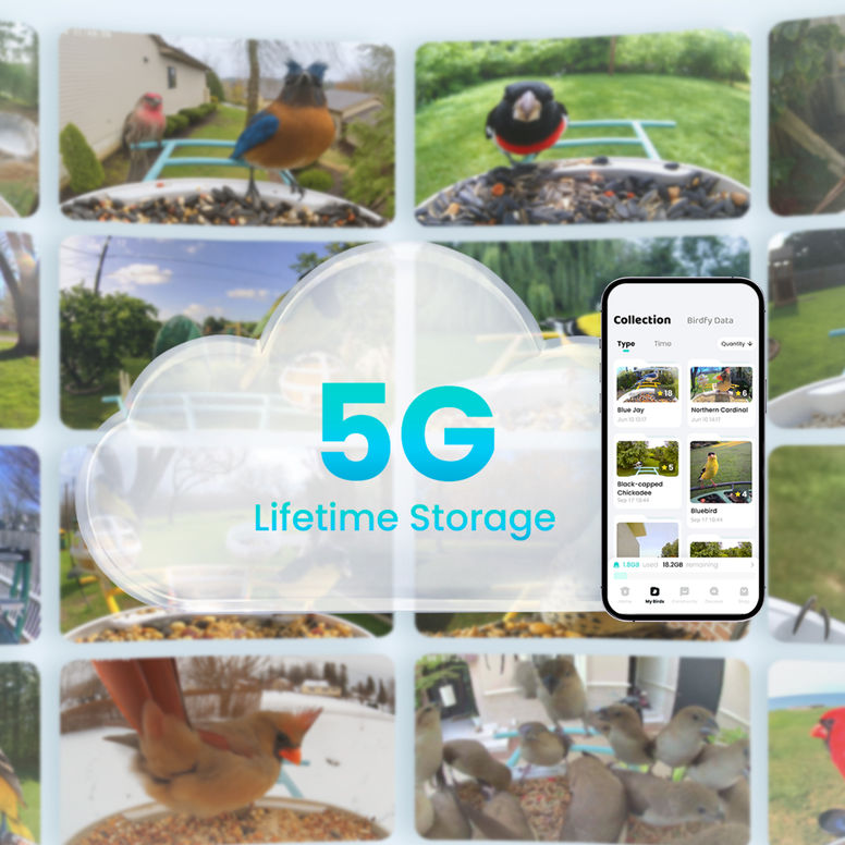 Cloud Storage for Every Visit