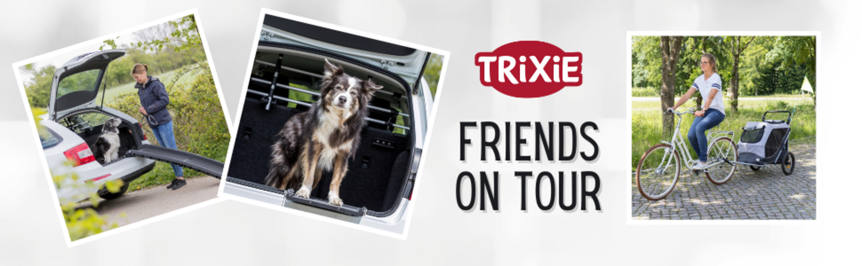 TRIXIE Bike Trailer for Dogs, Large Petco