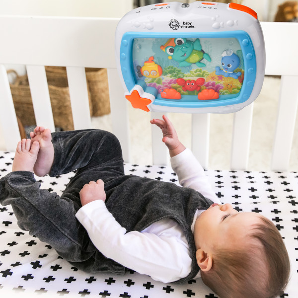 Baby Einstein Sea Fish Dreams Sleep Baby Soother and partial