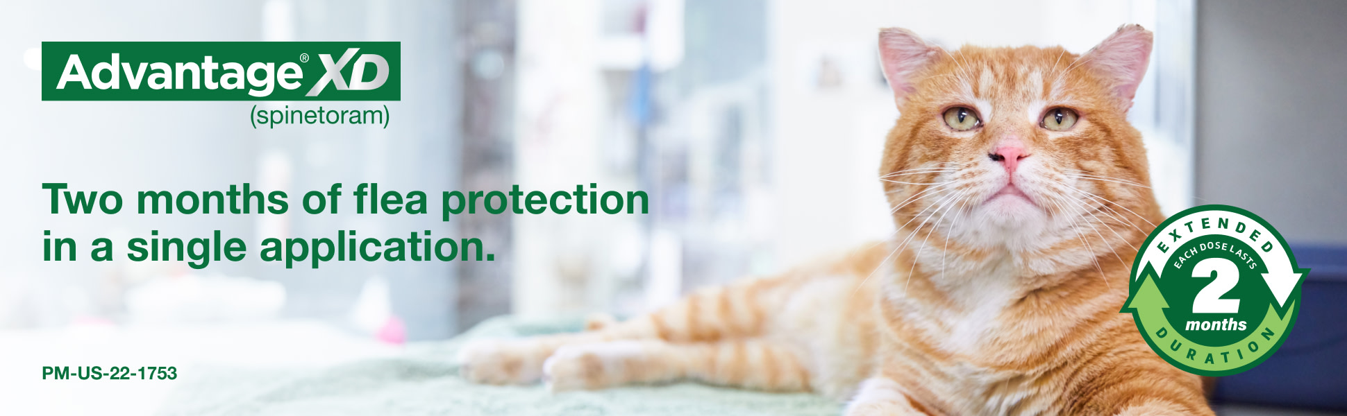 Small Cats Advantage For Cats Advantage XD Topical Dose Flea