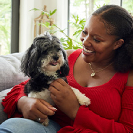 Small breed dog sitting in a woman's lap