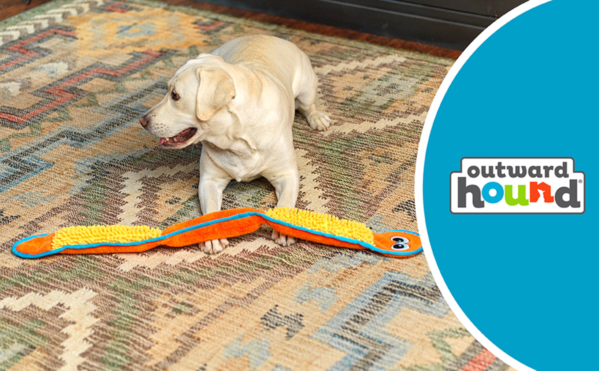 Outward Hound Durablez Stuffing-Free Squeaky Interactive Dog