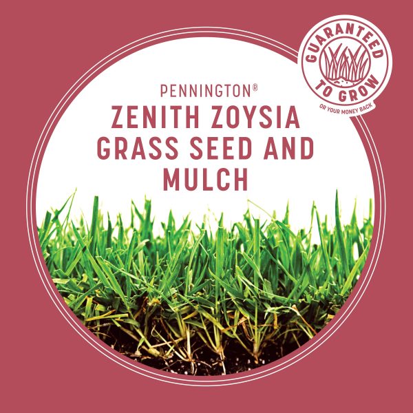 Pennington 5 lbs. Smart Patch Zoysia Grass Seed with Mulch