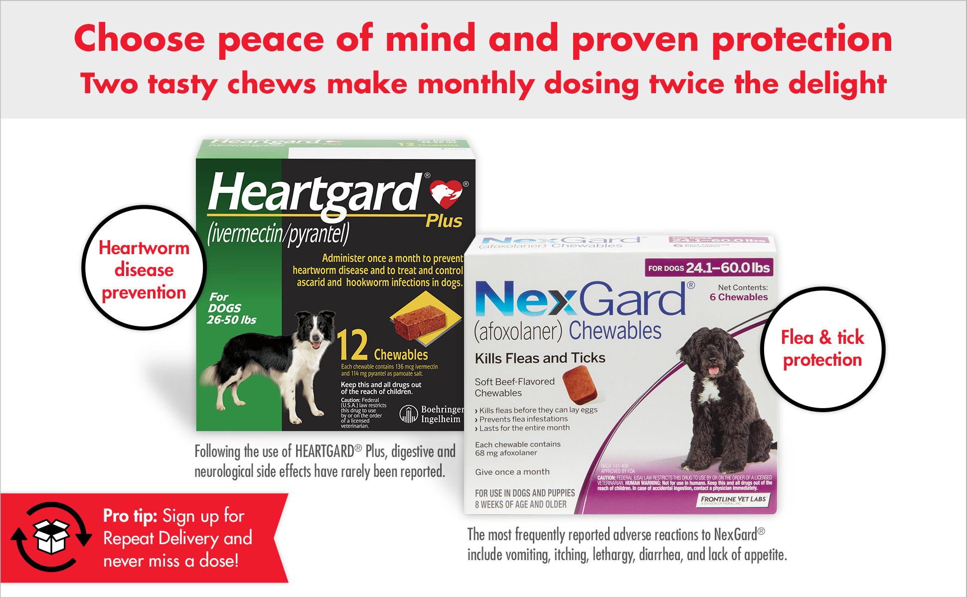 Heartgard plus 12 month fashion supply