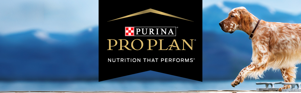 sensitive skin dog food walmart