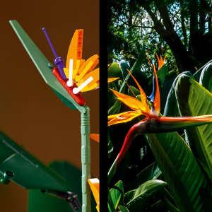 SET LEGO® 10289 BIRD OF PARADISE: una pianta tropicale nella BOTANICAL  COLLECTION - OrangeTeam LUG