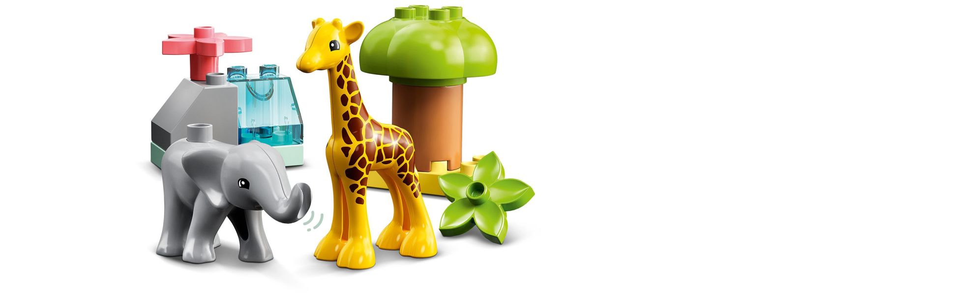 Jungle duplo on sale