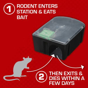 Tomcat Mouse Trap 2 Pack—Kill And Contain Disposable No SEE No