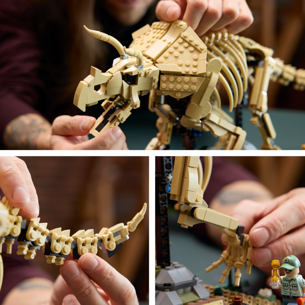 Triceratops has a movable head, jaws, legs and tail for posing.