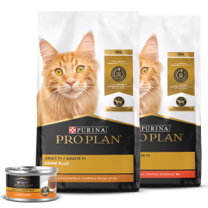 Purina senior dry cat food hotsell