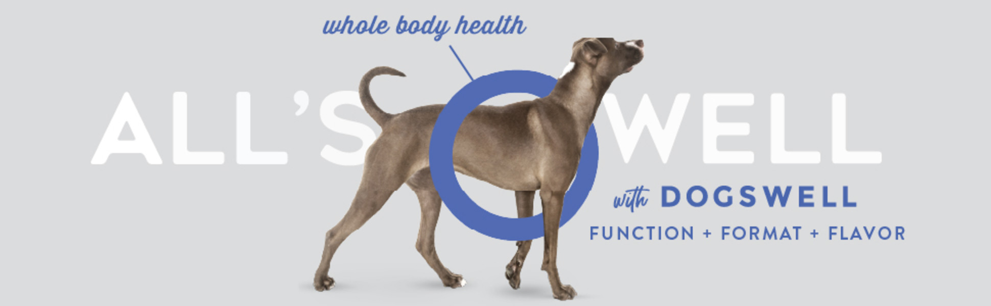 Dogswell Gut Health Lamb Jerky Dog Treats, 20 oz. Petco