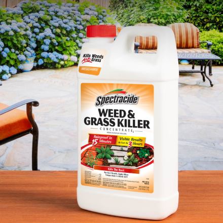 Spectracide Weed and Grass Killer 64 oz. Concentrate HG-96451-4 - The Home  Depot