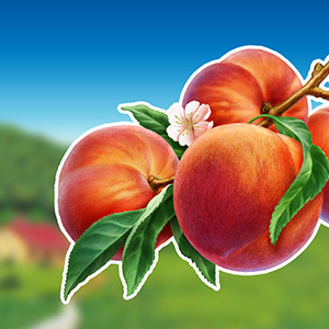 Celestial Seasonings® Caffeine Free Country Peach Passion® Herbal