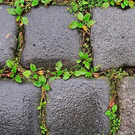 Perfect for treating weeds on permeable hard surfaces