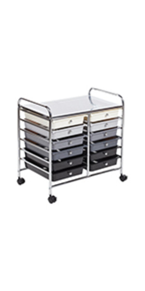 12-Drawer Mobile Organizer