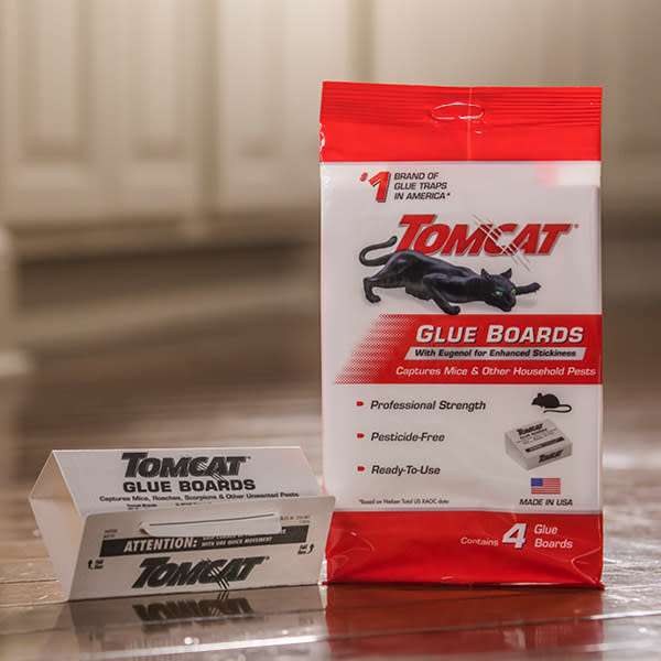 Tomcat Glue Boards with Eugenol for Enhanced Stickiness