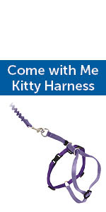 Come with outlet me kitty review