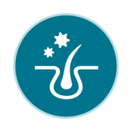 ICONS REPRESENTING HOW LIVECLEAR WORKS