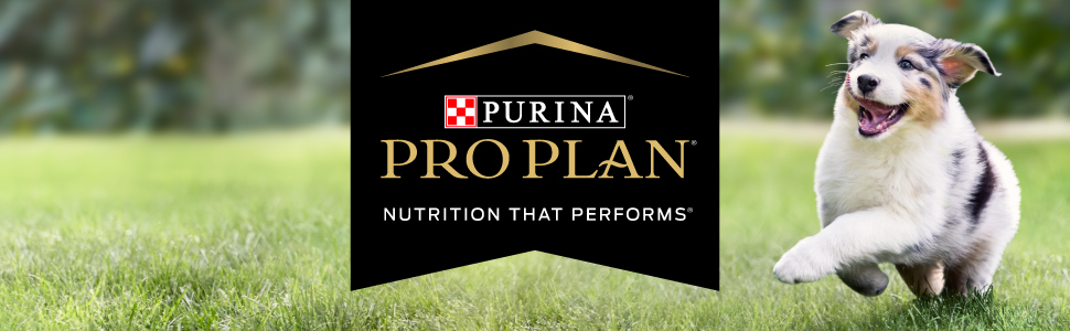 purina pro plan dog food at walmart