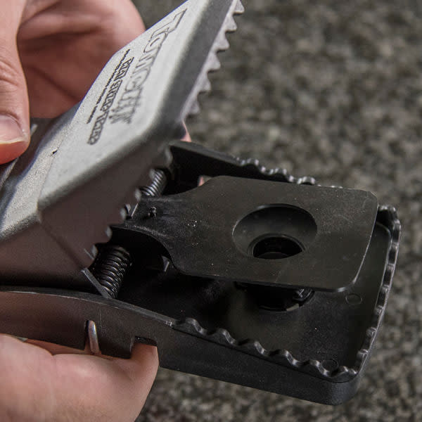 Effective Mouse Trap