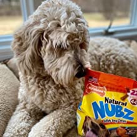 Nubz dog best sale treats costco