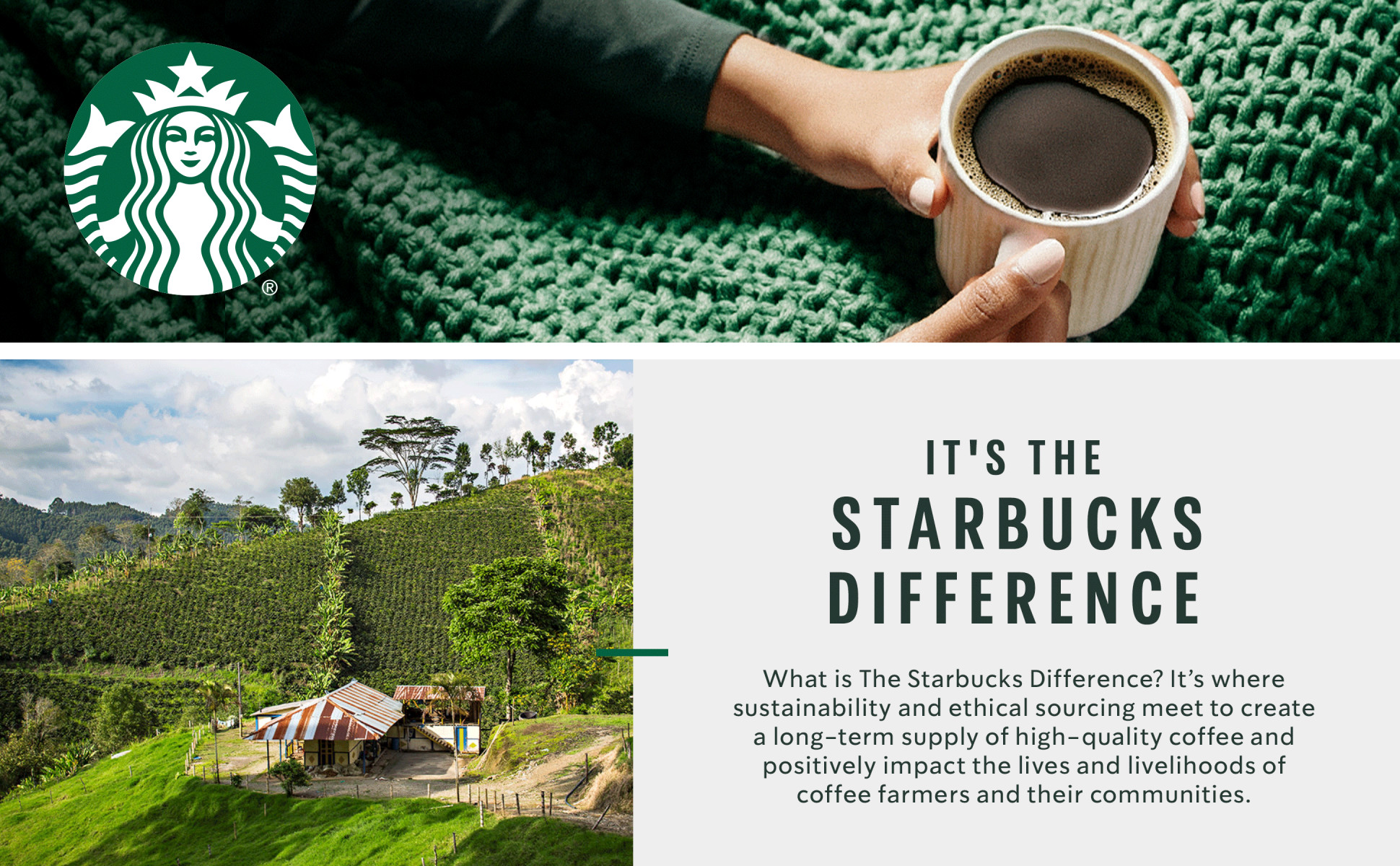 It's The Starbucks Difference - What is the Starbucks Difference? It's where sustainability and ethical sourcing meet to create a long-term supply of high-quality coffee and positively impact the lives and livelihoods of coffee farmers and their communities.