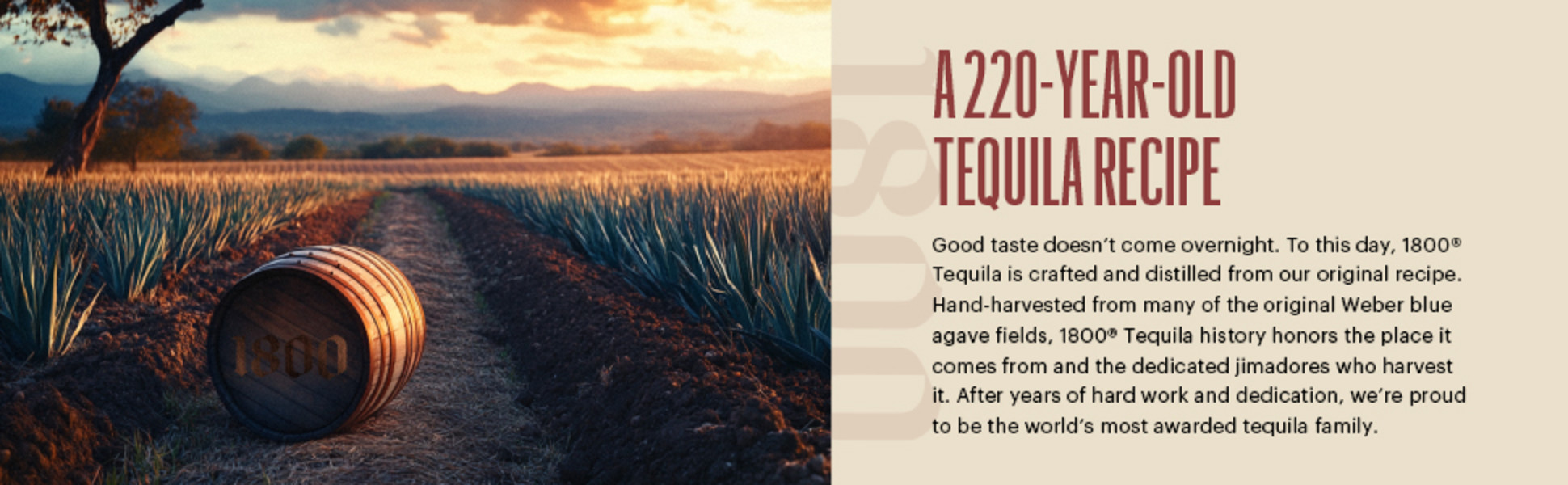 1800 Tequila Reposado, 1.75 L Glass Bottle, 40% ABV, Rich Flavors