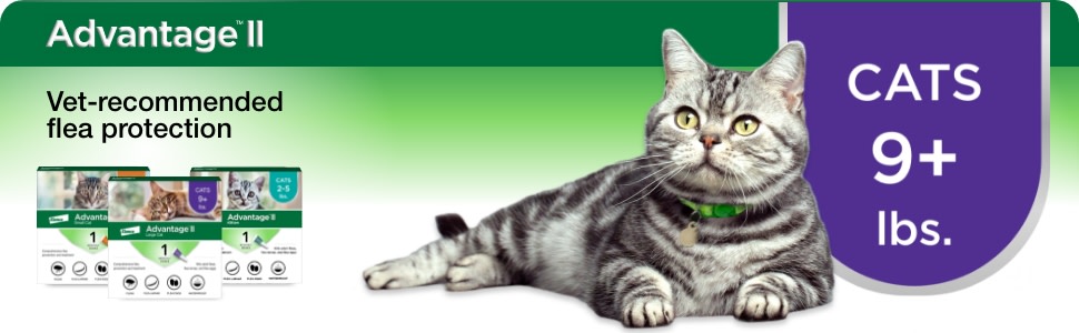 Advantage flea treatment on sale for cats walmart