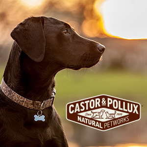 petco organix dog food