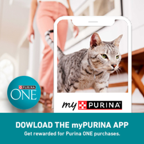 IMAGE OF MYPURINA APP WITH CAT ON SCREEN