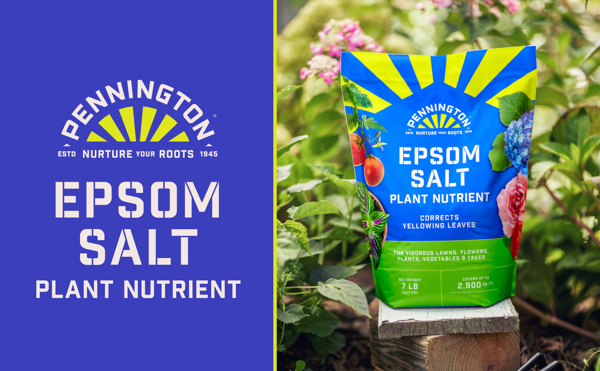 Pennington  lb. , sq. ft. Epsom Salt for Plants, Lawns and