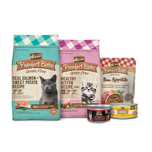 Merrick purrfect bistro canned cat outlet food