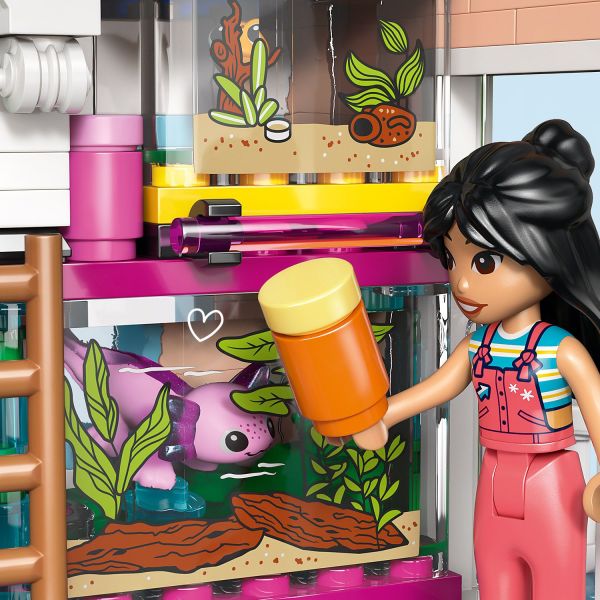 The pet gecko and axolotl have their own terrariums and food.