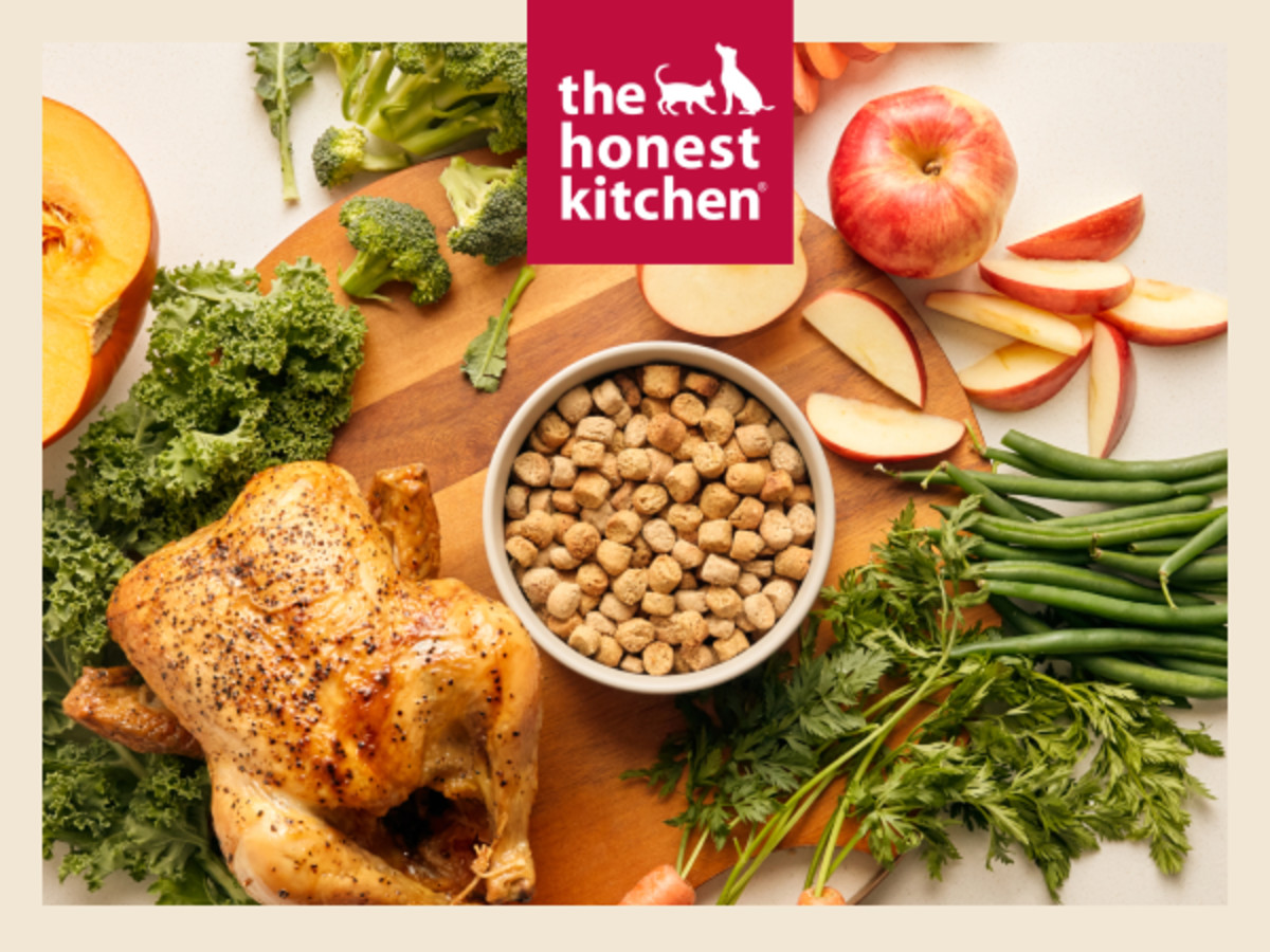 The Honest Kitchen Gourmet Whole Food Clusters Grain Free Chicken