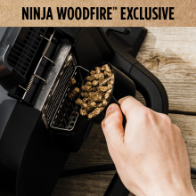 Ninja Woodfire Electric BBQ Grill Stand Black – XSKGRLLSTDEUK - Expert  Portlaoise