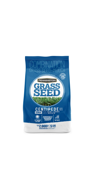 what we want WWW_HASAMUYATSU ハサムヤツ Pennington Zoysia Grass Seed with Mulch, for Sun to Partial